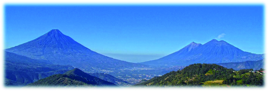 レタナ農園の風景写真です