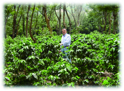 レタナ農園の写真です