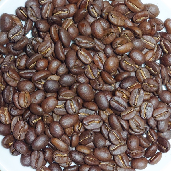 レタナ農園ブルボンの豆の写真です