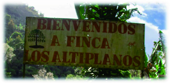 ニカラグアのロス・アルチプラーノス農園の写真２